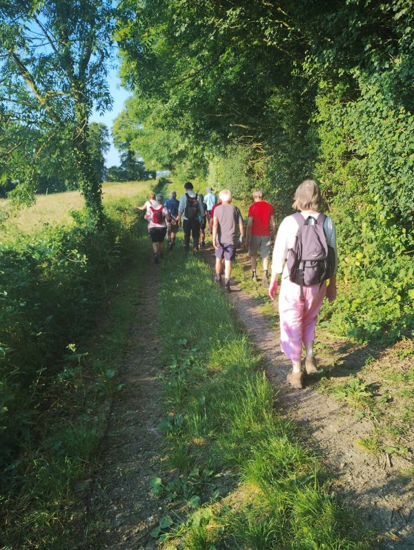 Ramblers walking on track, in summer
